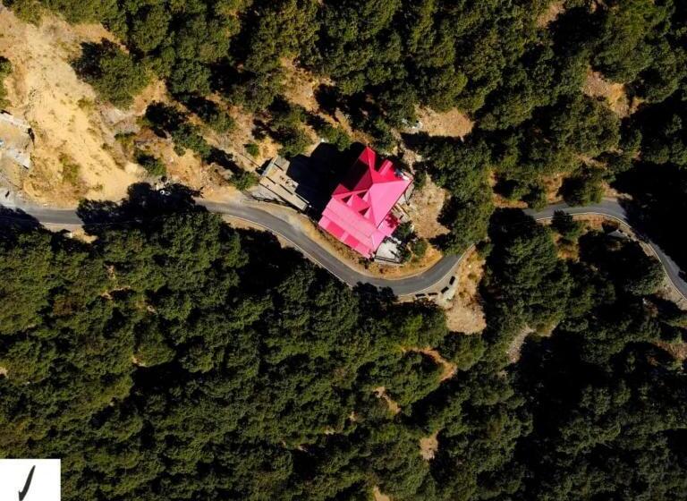 فندق Chail Alone Inn