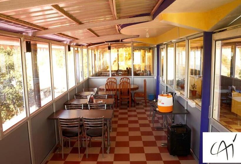 فندق Chail Alone Inn