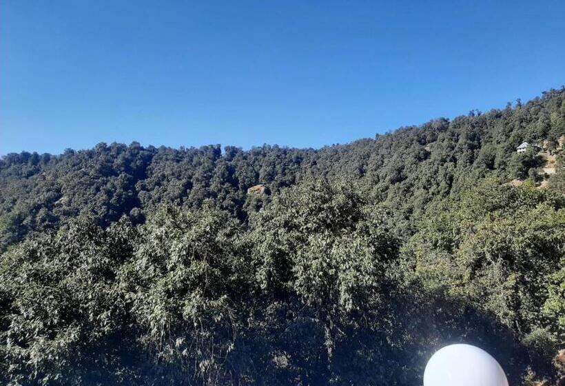 فندق Chail Alone Inn