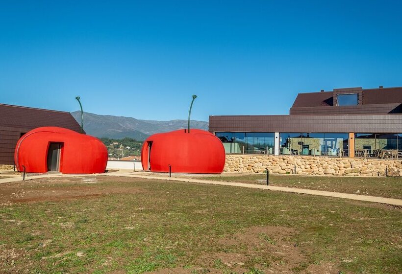 ホテル Cherry Sculpture