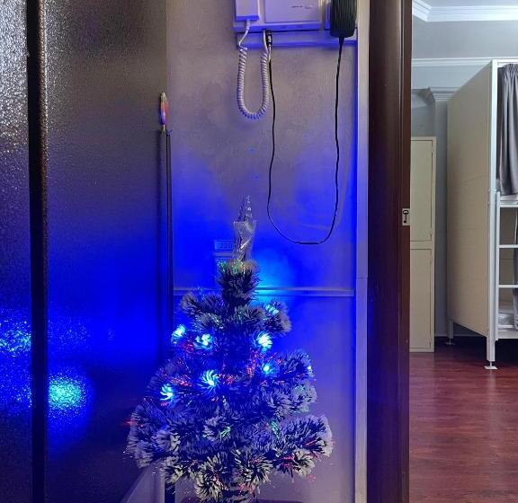 هتل کپسول Orom Hostel