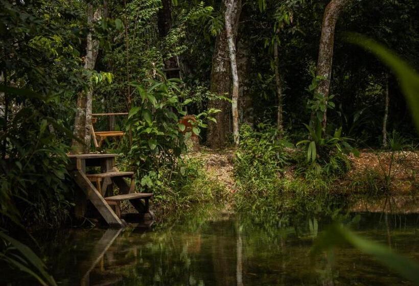 בית מלון כפרי El Nido