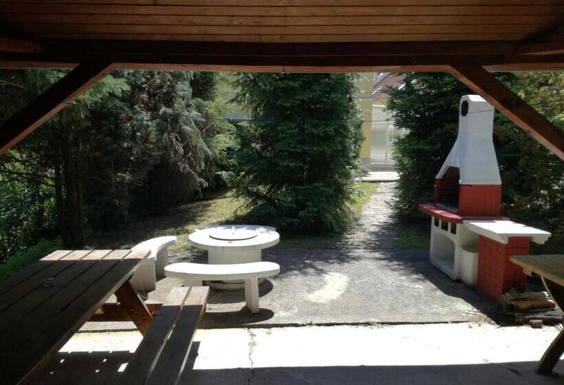 בית מלון כפרי Experience élmény