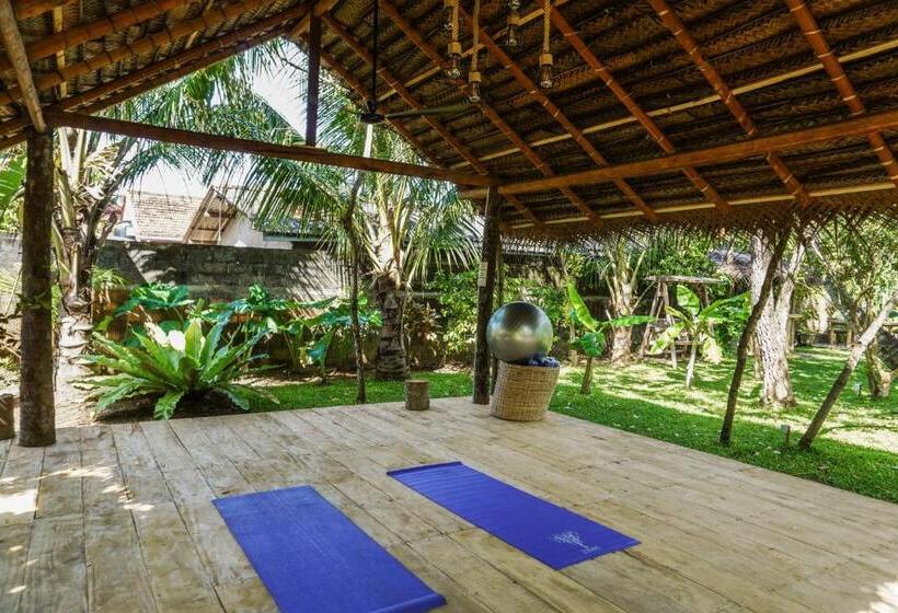 ホテル Jackie´s Guest House