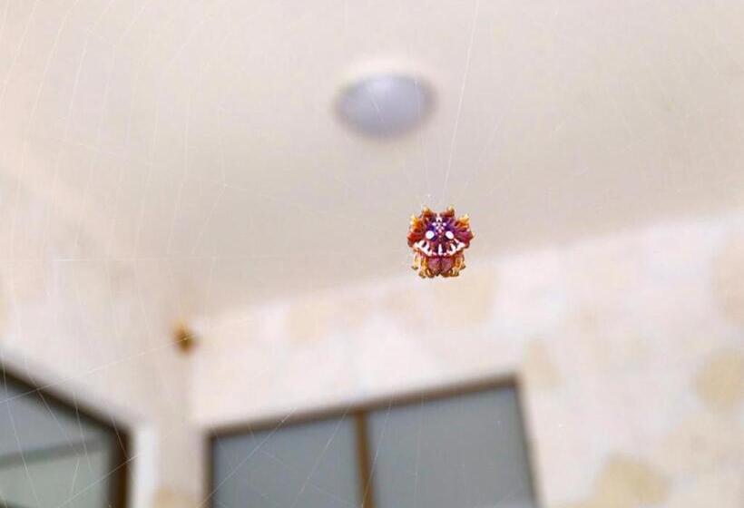 בית מלון כפרי Kaya Resort Kourijima   Vacation Stay 94979v