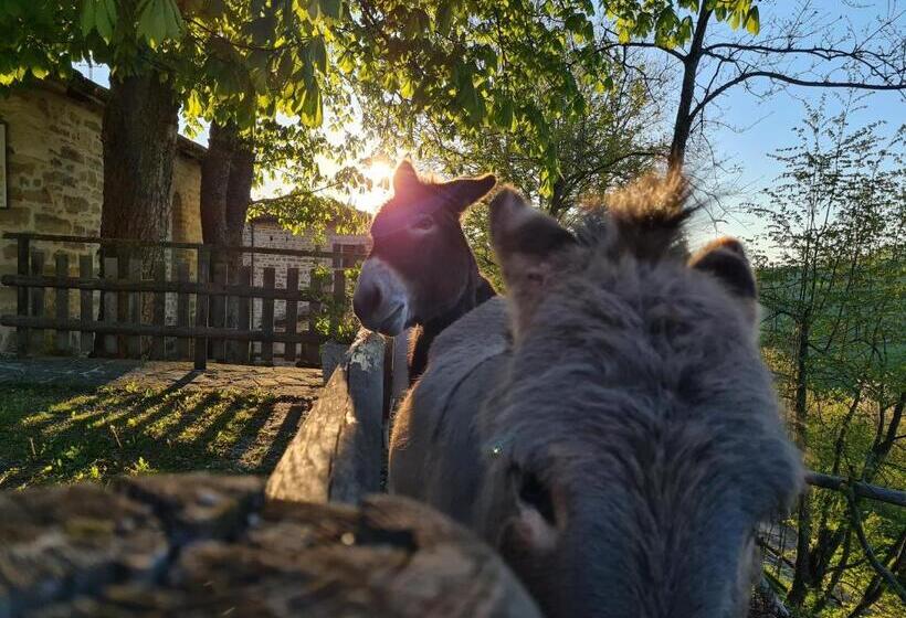 בית מלון כפרי Marzanella