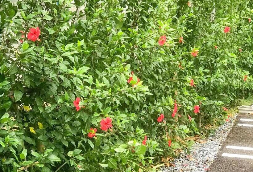 فندق Niruyakanaya Bise   Vacation Stay 58653v