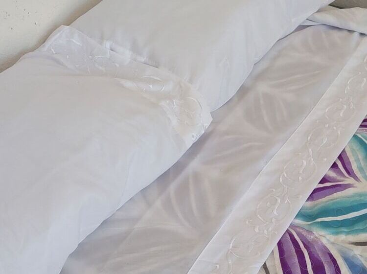 فندق Posada Maria