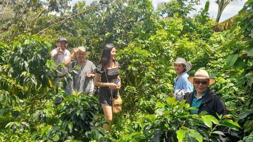 בית מלון כפרי Santa Irene De Palomino   Sevilla Valle Del Cauca