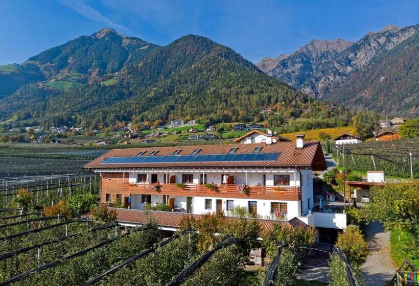 酒店 Schattmair Hof