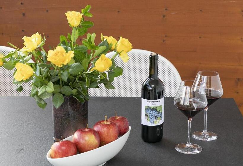 酒店 Schattmair Hof