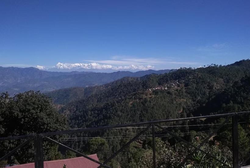 酒店 The Royal Mountain