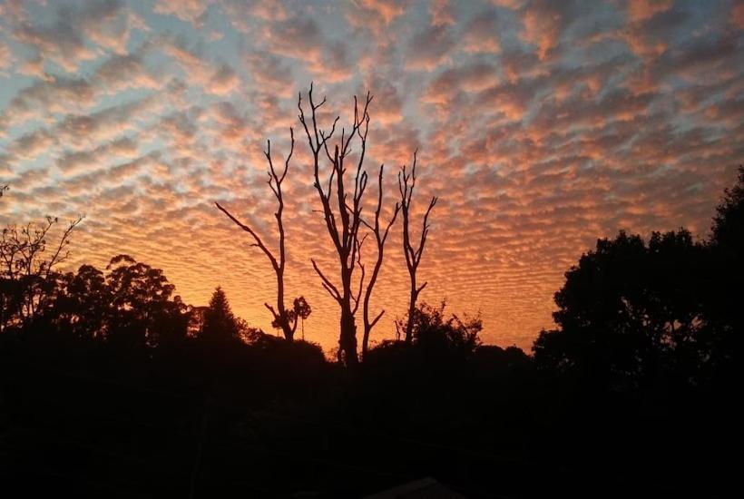 酒店 The Royal Mountain