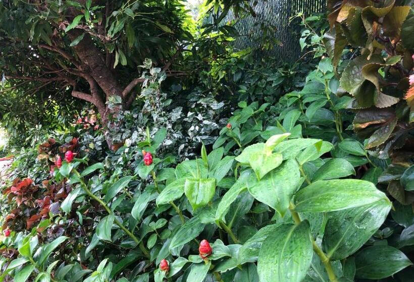 Отель Vacation Suites