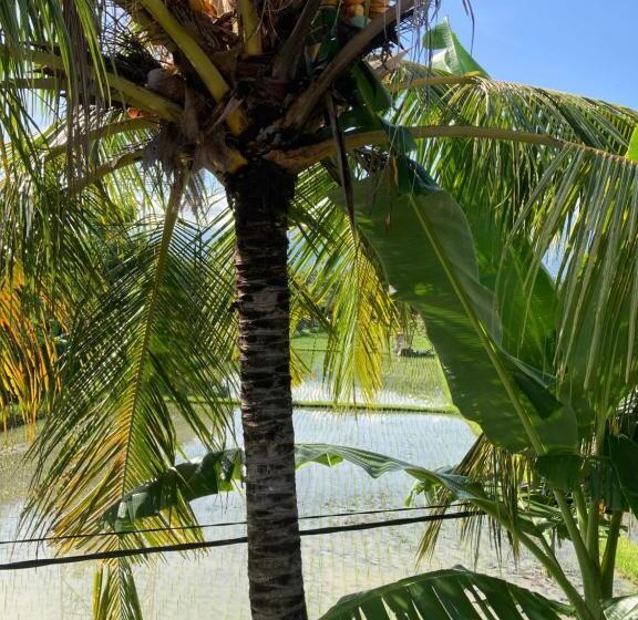 בית מלון כפרי Villa Agung Beach Inn
