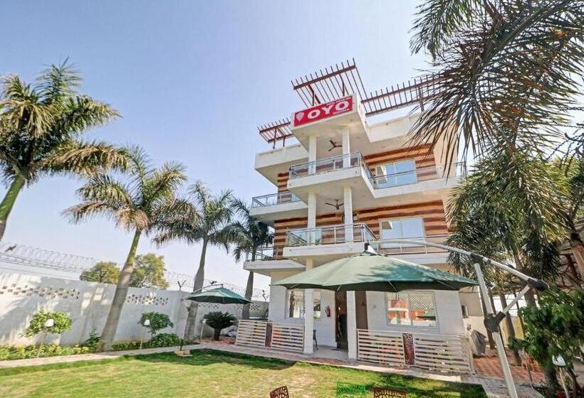 Oyo Hotel Safari Inn