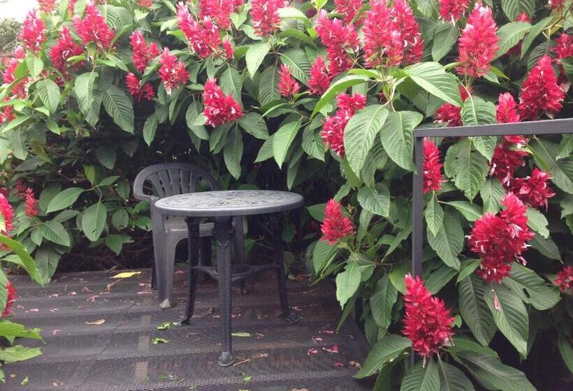 膳宿费 2003 Hotelelcacique 2013 Sjoairportlodge 2019 Coffee Bean Lodge