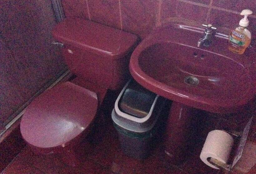 膳宿费 2003 Hotelelcacique 2013 Sjoairportlodge 2019 Coffee Bean Lodge