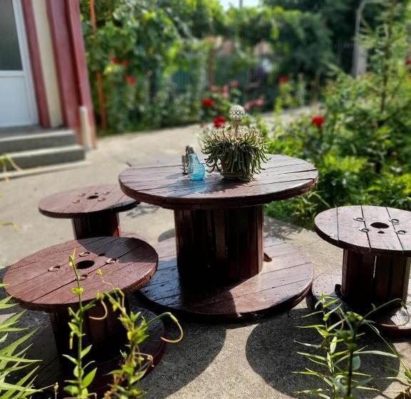 膳宿费 Casa Daria