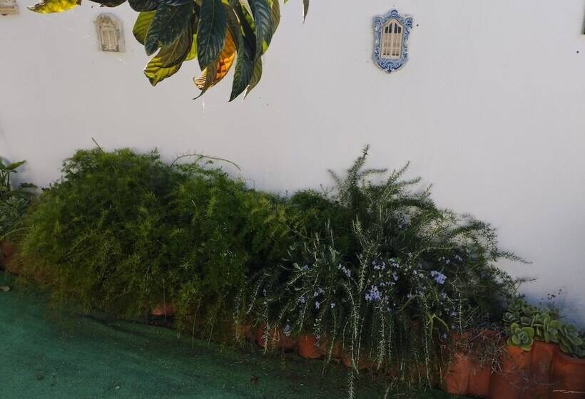 Пансион Casa Sarguito