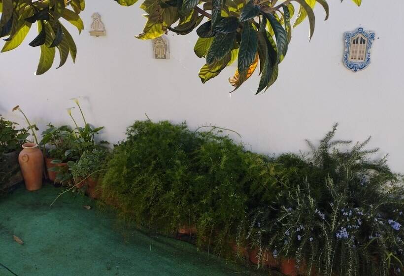 Пансион Casa Sarguito