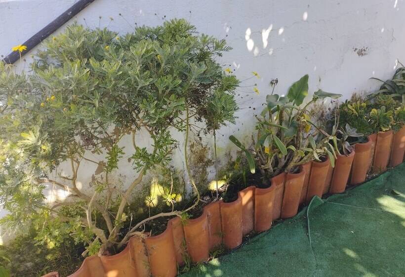 Пансион Casa Sarguito