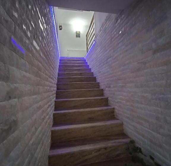 Пансион Casa Vânătorilor