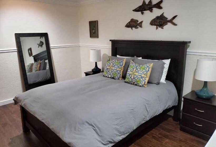 膳宿费 Claiborne Courtyard Guesthouse