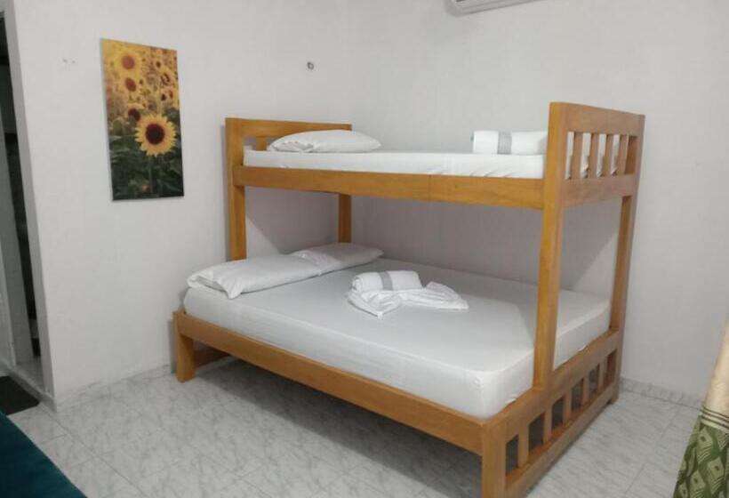 膳宿费 Hostal Girasoles Tolu