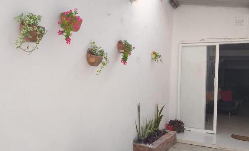 膳宿费 Hostal Girasoles Tolu