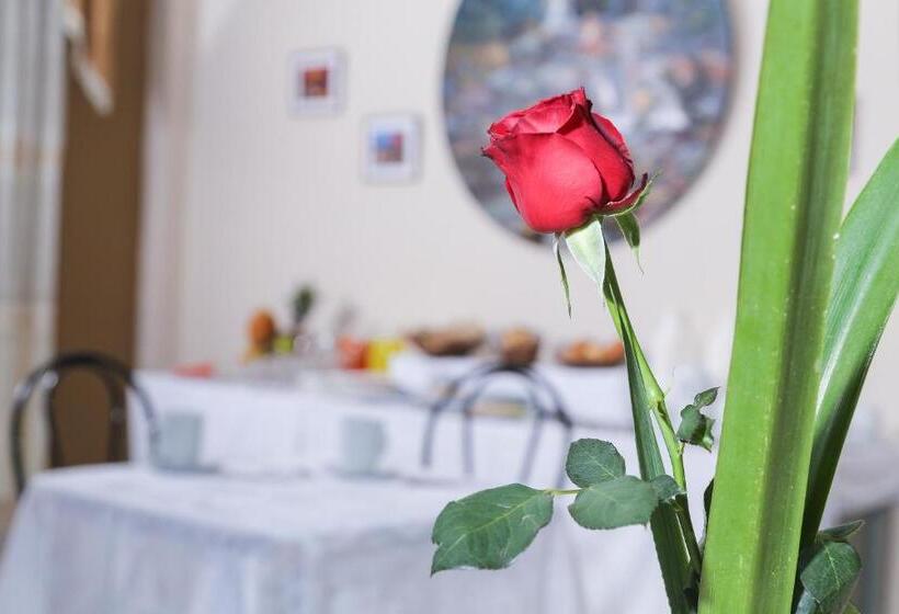 پانسیون Hostal Punta Arenas