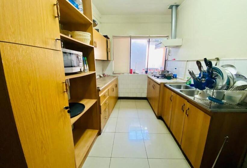 膳宿费 Hostel Cartel 405