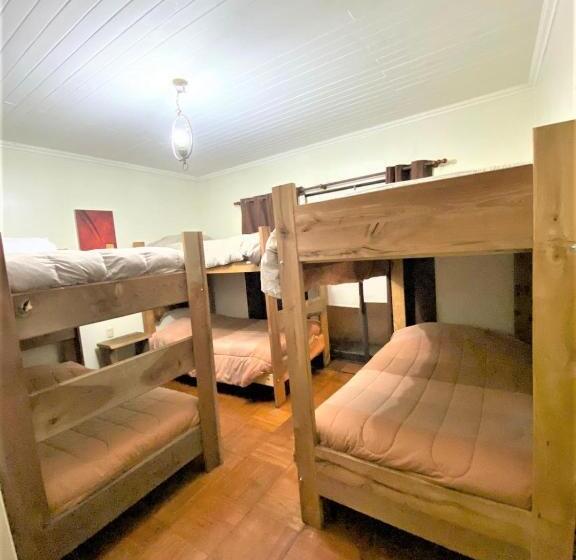 膳宿费 Hostel Cartel 405