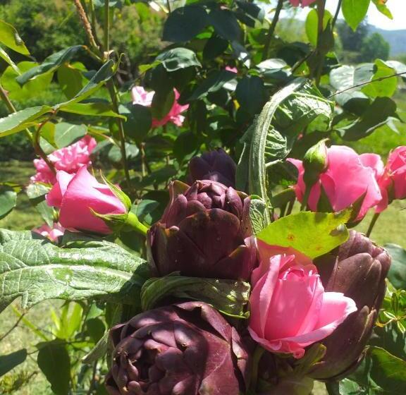 펜션 Il Conte Di Montechiaro Rural B&b