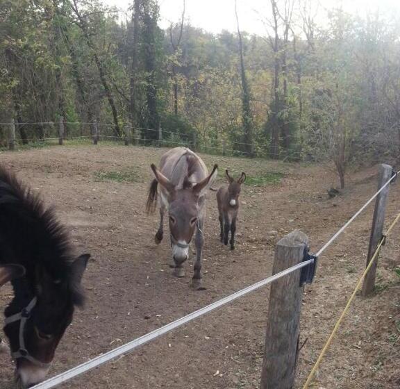 펜션 Il Conte Di Montechiaro Rural B&b