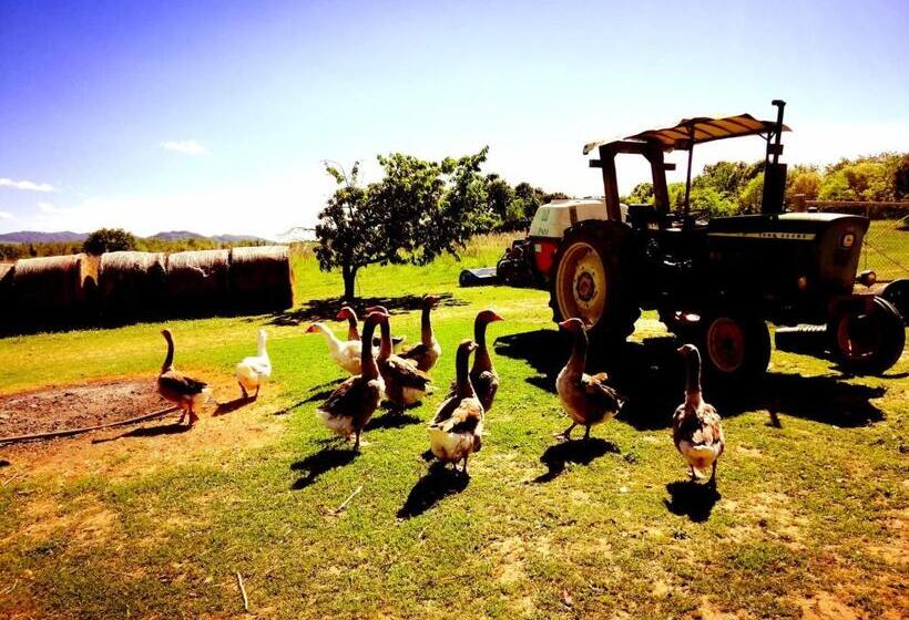 펜션 Il Conte Di Montechiaro Rural B&b