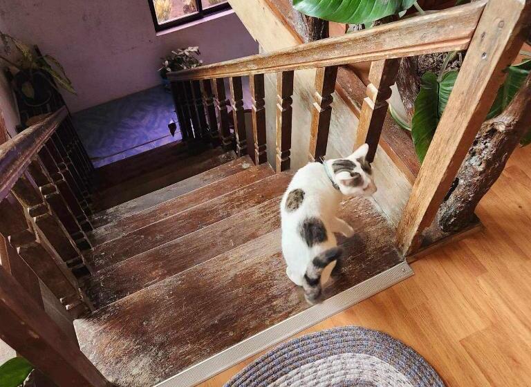 פנסיון Itaytay Inn