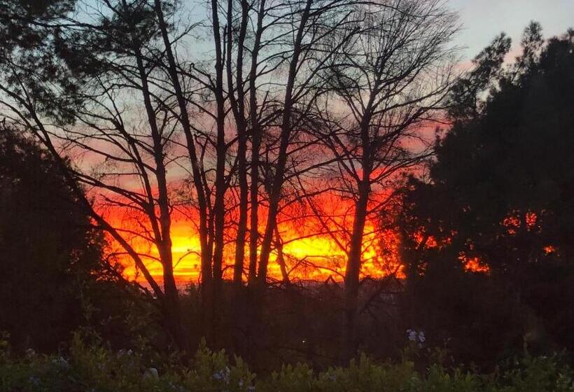 Pansiyon Mason House