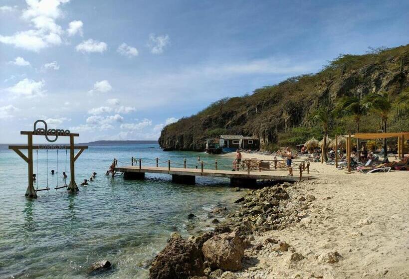 膳宿费 Mi Casa Your Cass