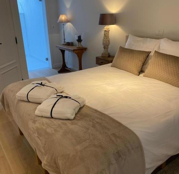 膳宿费 Miranius Rey