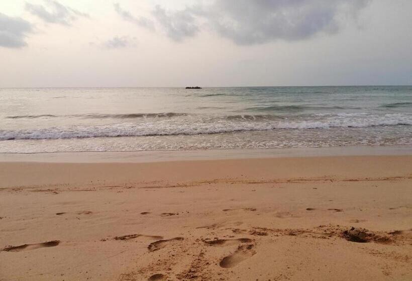 بنسيون Neem Tree Ambalangoda