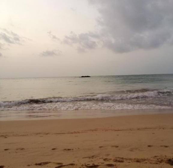 بنسيون Neem Tree Ambalangoda