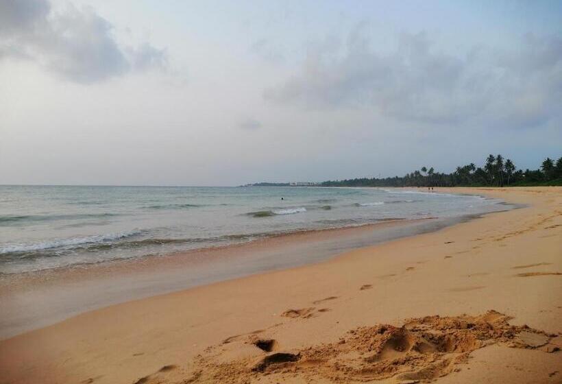بنسيون Neem Tree Ambalangoda