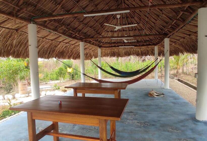 펜션 Olamar Hostal