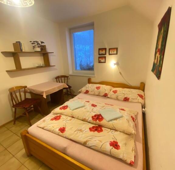 膳宿费 Penzión Pani B