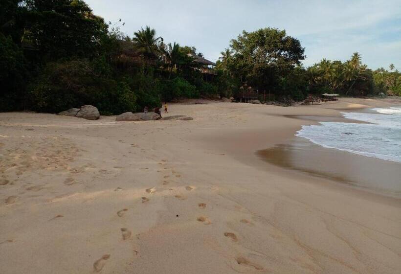 ペンション Ruka Homestay