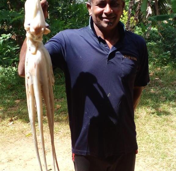 ペンション Ruka Homestay