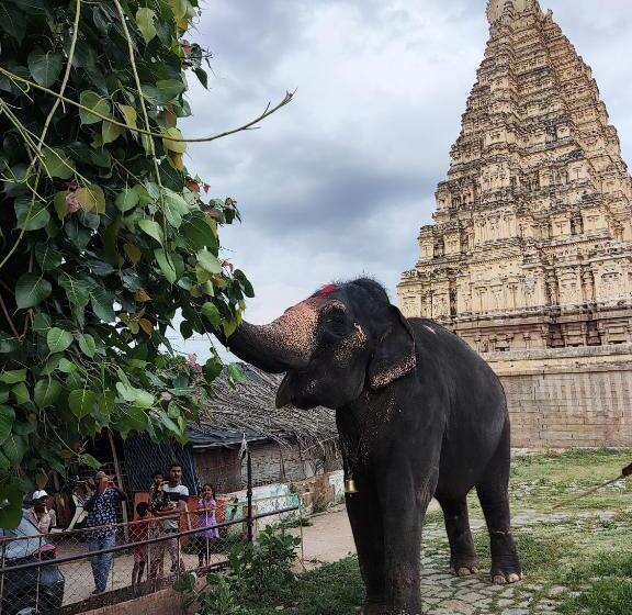 پانسیون Temple View Guest House