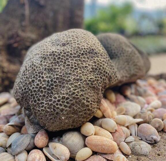 Pension The Tide S Tale