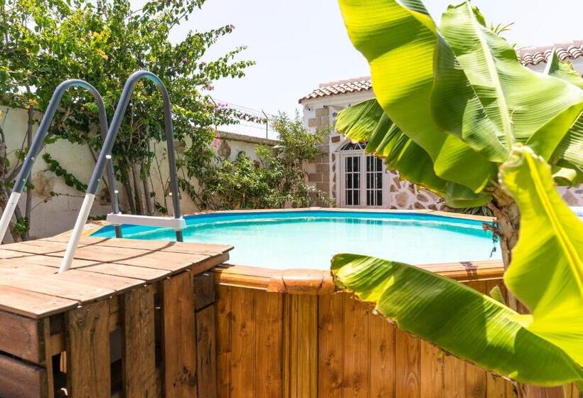 بنسيون Guest House Villa Neon Tenerife